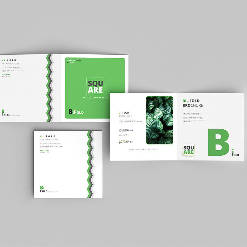 Individueller Vollfarbiger Fly – Commercial Printing Business Bewertung und Preis